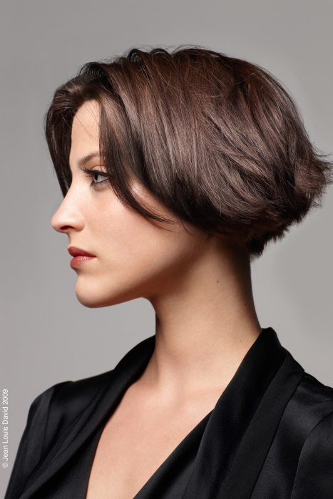 Jean Louis David short brown Hairstyles